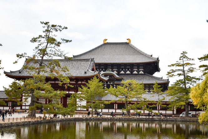 東大寺_鏡池＆中門＆大仏殿と奈良公園の紅葉と鹿