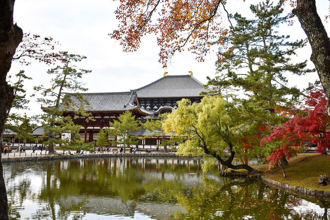 東大寺_鏡池＆中門＆大仏殿と奈良公園の紅葉と鹿