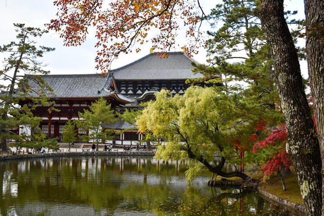 東大寺_鏡池＆中門＆大仏殿と奈良公園の紅葉と鹿