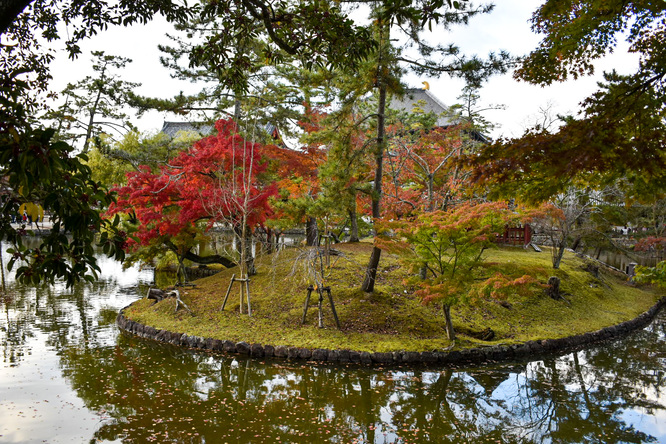 東大寺_鏡池＆中門＆大仏殿と奈良公園の紅葉と鹿