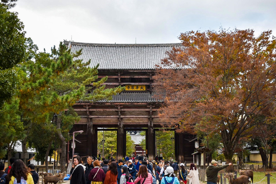 東大寺_南大門：再建の歴史