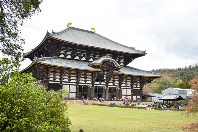 東大寺_大仏殿（金堂）