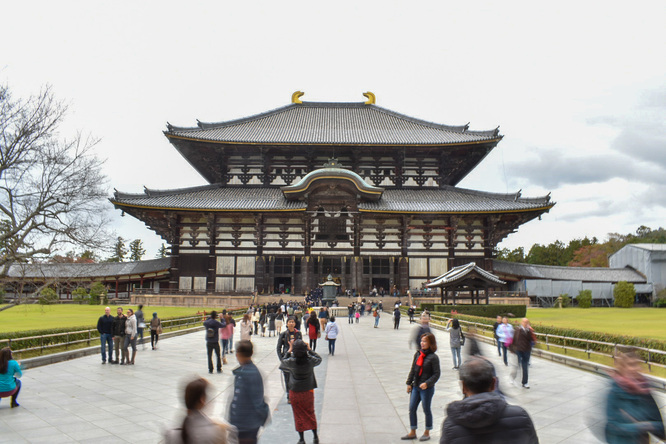 東大寺_大仏殿（金堂）の風景