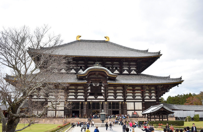 東大寺_大仏殿（金堂）