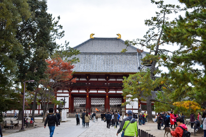 東大寺_中門と奈良公園