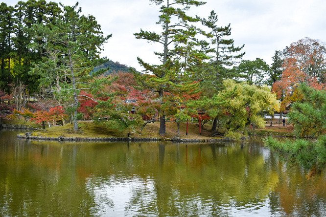 東大寺と奈良公園_鏡池