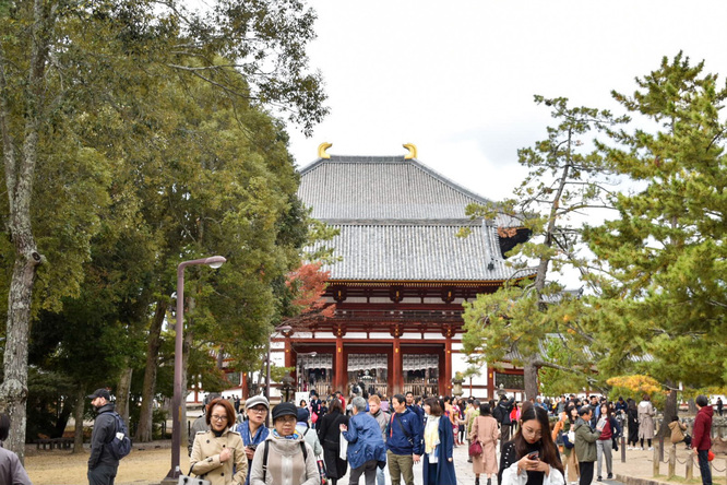 東大寺・中門と奈良公園