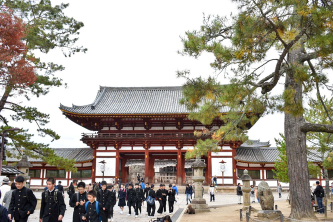 東大寺・中門と奈良公園