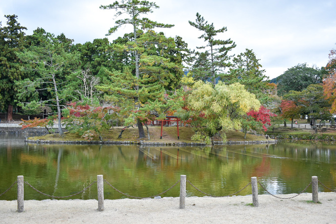 東大寺と紅葉に染まる奈良公園_鏡池