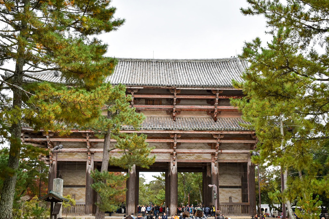 東大寺南大門と奈良公園