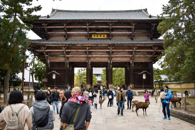 東大寺南大門と奈良公園の鹿