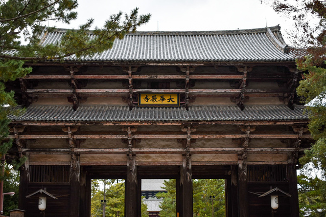 東大寺南大門と奈良公園の鹿