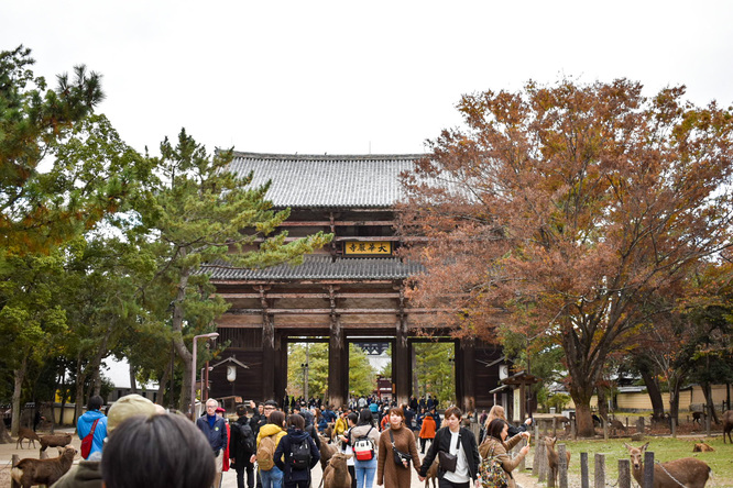 東大寺南大門と奈良公園の鹿