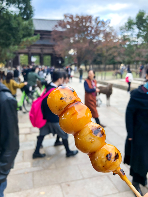 東大寺南大門とみたらし団子