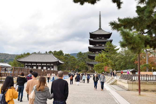 興福寺の見どころ_東金堂と五重塔と境内