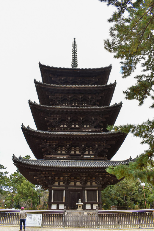 興福寺の見どころ_五重塔