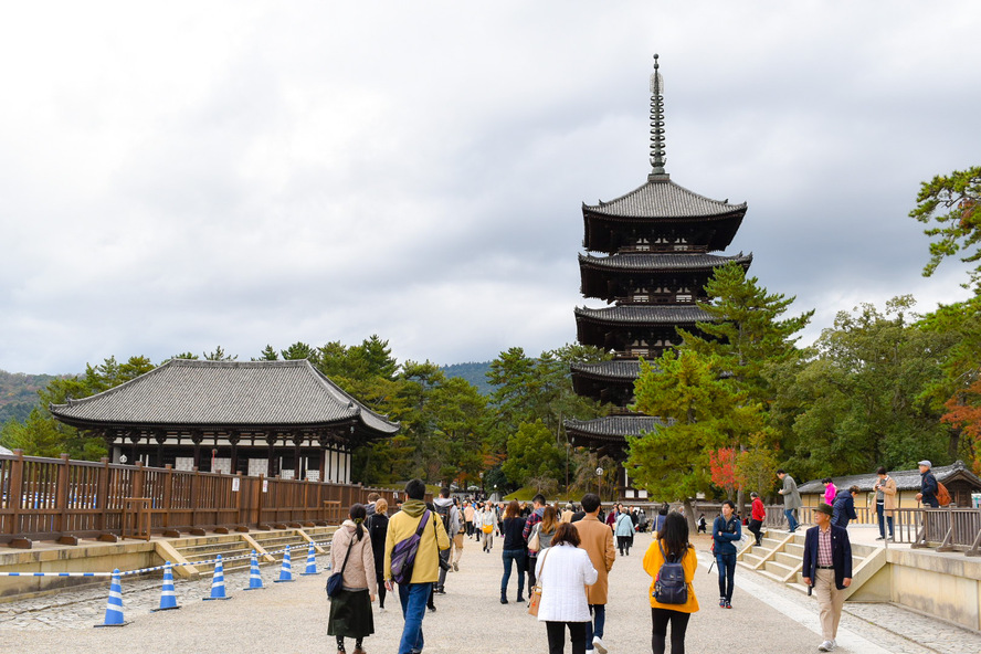 興福寺の見どころ_五重塔と東金堂