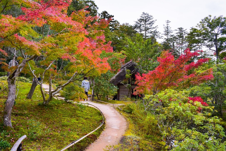 依水園の紅葉と庭園_奈良公園の見どころ