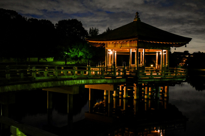 奈良公園の浮見堂_夜のライトアップ