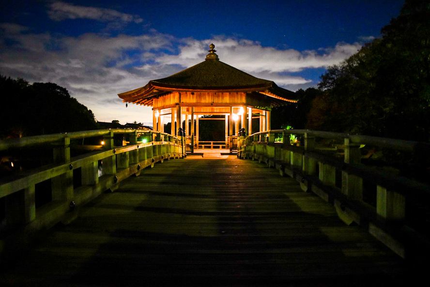 奈良公園の見どころ_夜の浮見堂