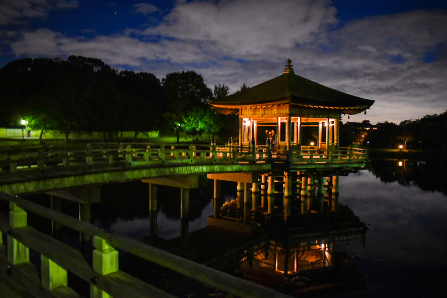 奈良公園の見どころ_夜の浮見堂