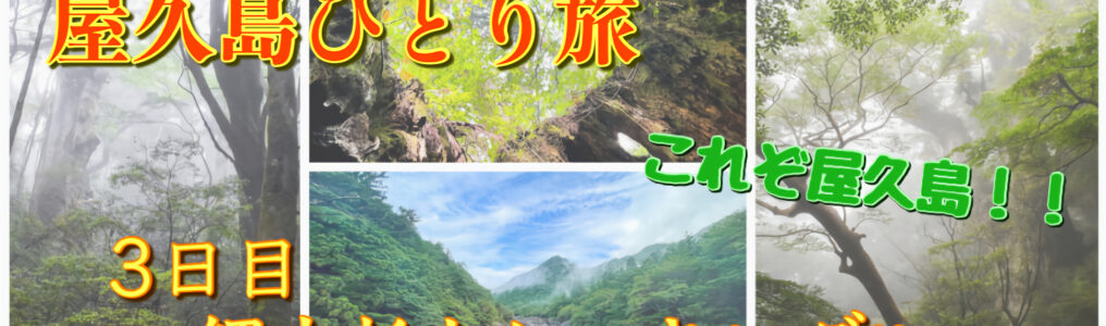 屋久島ひとり旅3日目_縄文杉トレッキング_サムネ改