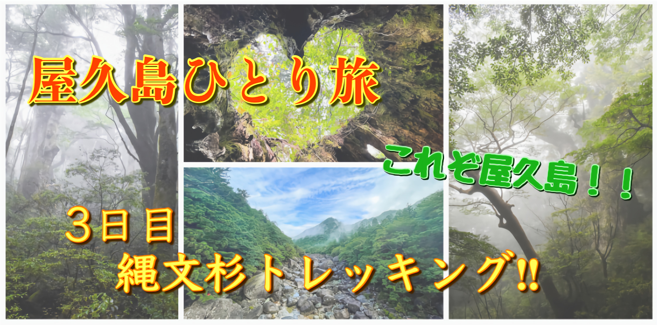 屋久島ひとり旅3日目_縄文杉トレッキング_サムネ改