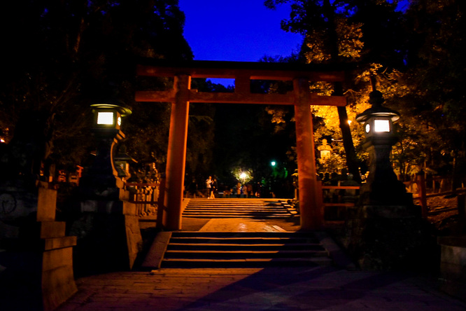 幽玄なる表参道_夜の春日大社