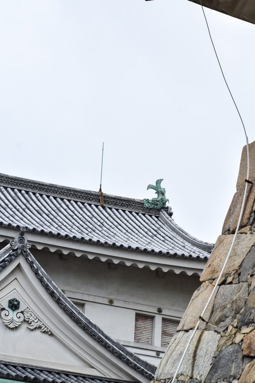 城下から眺める名古屋城_しゃちほこ