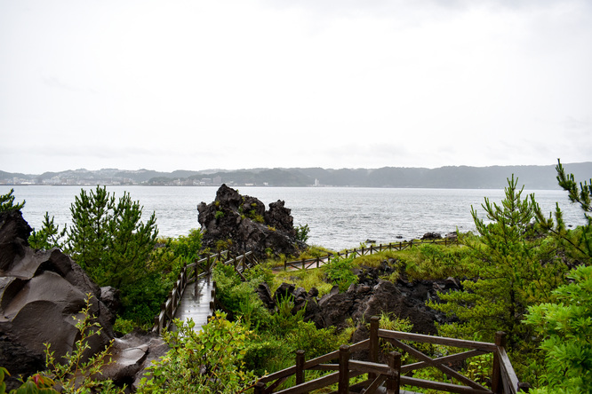 桜島観光_溶岩なぎさ遊歩道