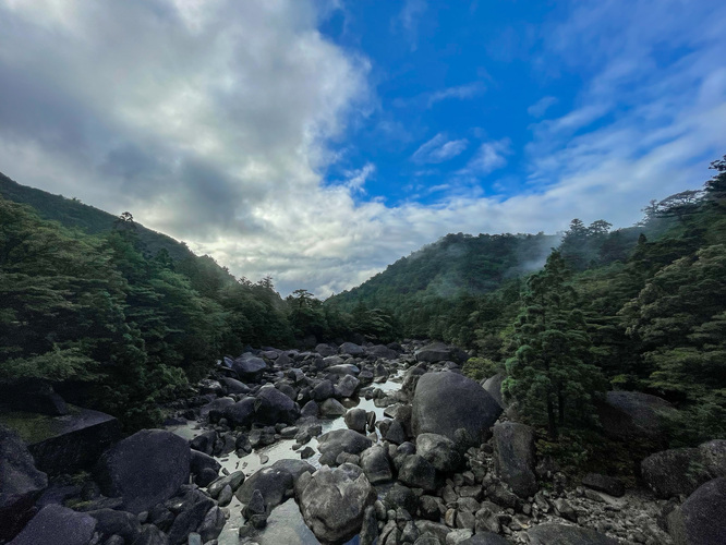 屋久島観光_縄文杉トレッキング_トロッコ道からの風景