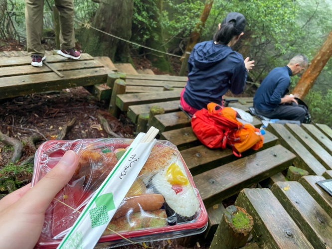 屋久島観光_縄文杉トレッキング_昼食