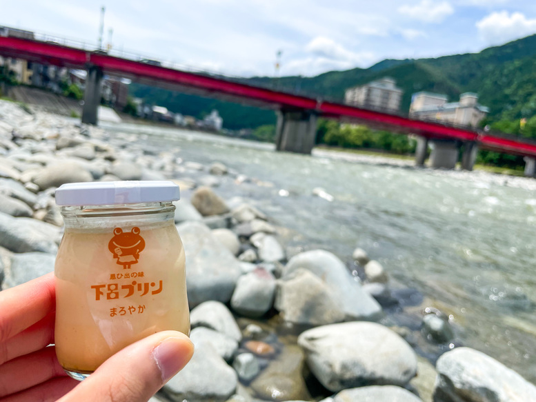 下呂温泉_温泉街と飛騨川と下呂プリン