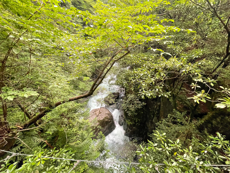付知峡_岐阜の自然観光_吊り橋と川の流れ