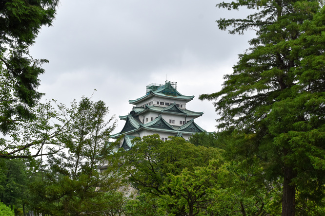 城下から眺める名古屋城