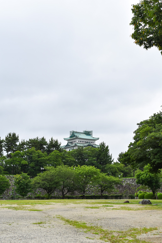 城下から眺める名古屋城