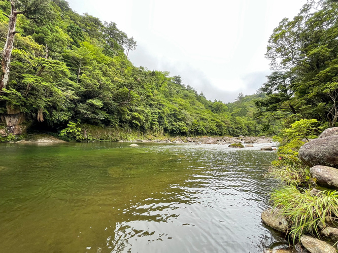 屋久島観光_縄文杉トレッキング_川べりで黄昏れる寄り道