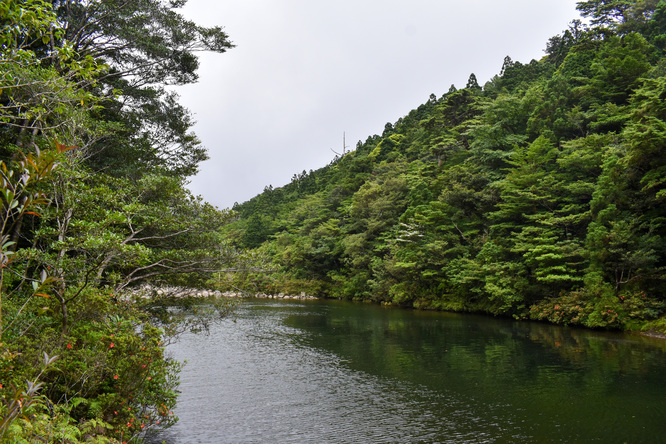 屋久島観光_縄文杉トレッキング_川べりで黄昏れる寄り道