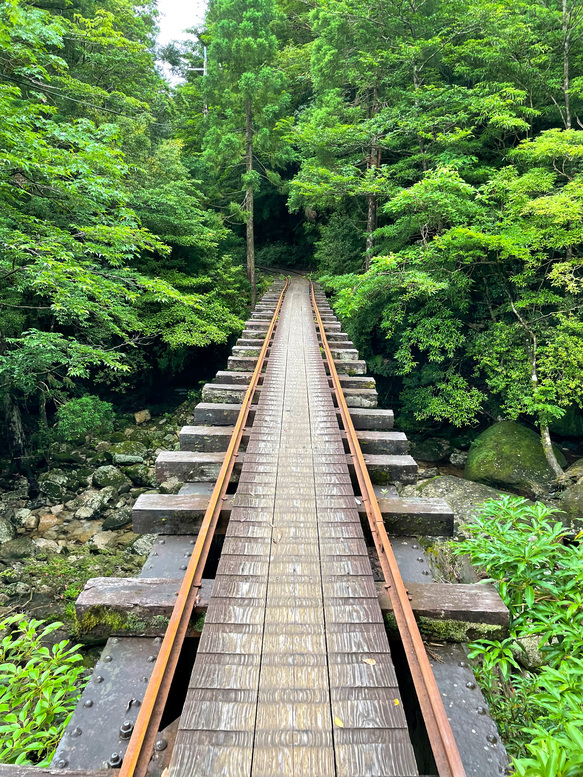 屋久島観光_縄文杉トレッキング_トロッコ道と橋