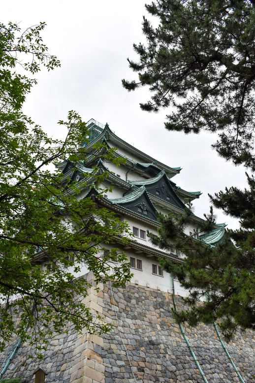 城下から眺める名古屋城