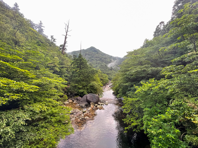 屋久島観光_縄文杉トレッキング_トロッコ道からの風景