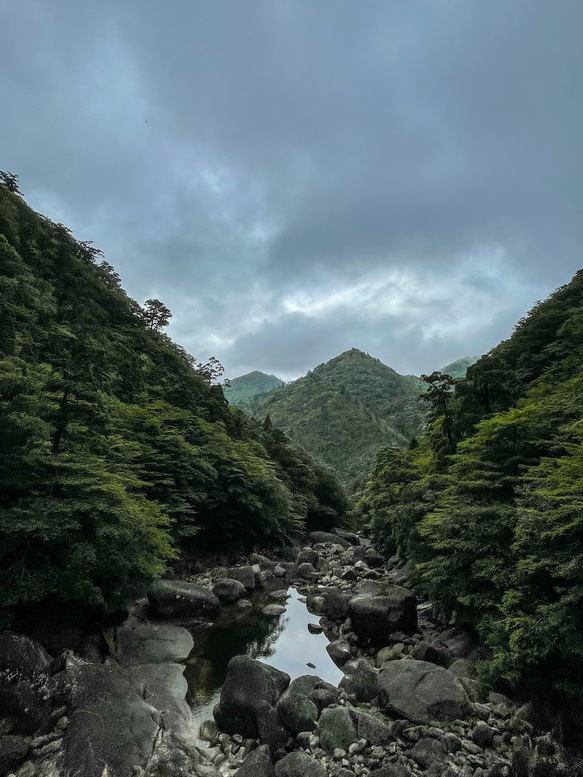 屋久島観光_縄文杉トレッキング_トロッコ道からの風景