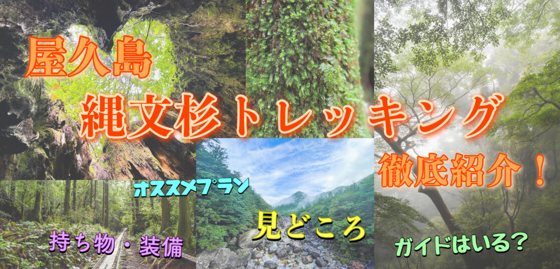 屋久島 縄文杉トレッキングの観光案内 初心者にもオススメの体験談 見どころ 持ち物 ガイド 旅狼 たびろう どっとこむ 屋久島 縄文杉トレッキングの観光案内 初心者にもオススメの体験談 見どころ 持ち物 ガイド 旅狼 たびろう どっとこむ