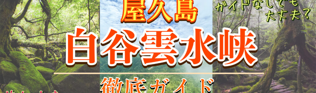 屋久島観光-もののけ姫の森へ！白谷雲水峡はガイドなしでも大丈夫？見どころ・コース・アクセス・体験談