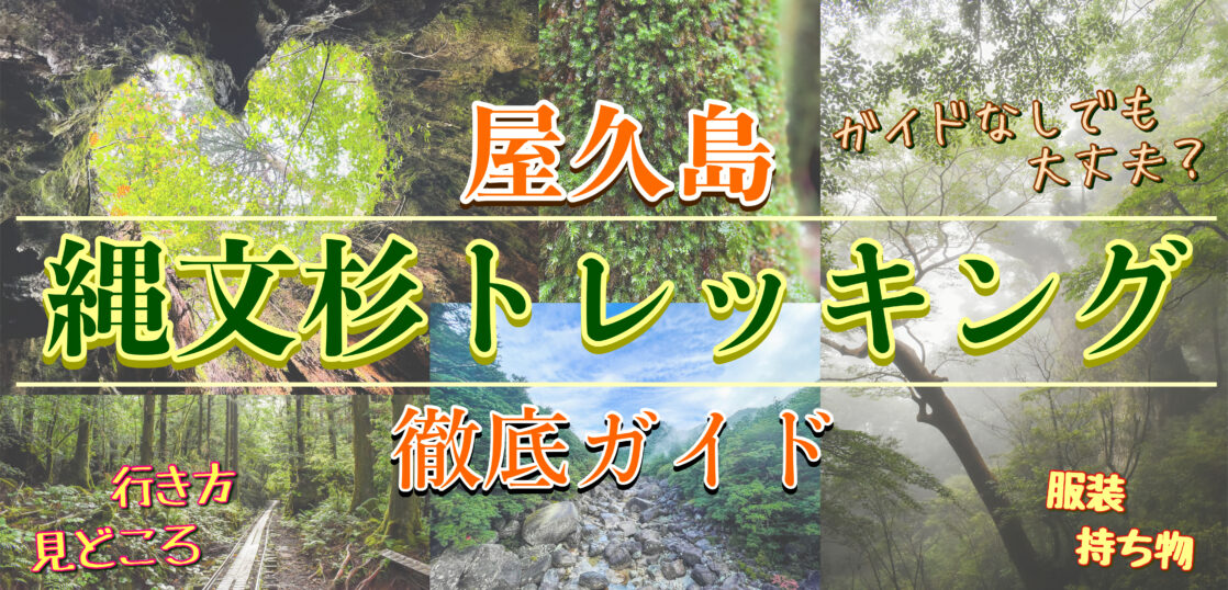 屋久島 縄文杉トレッキング ガイドなしで大丈夫 見どころは ツアー 時間 行き方 服装は 旅狼どっとこむ