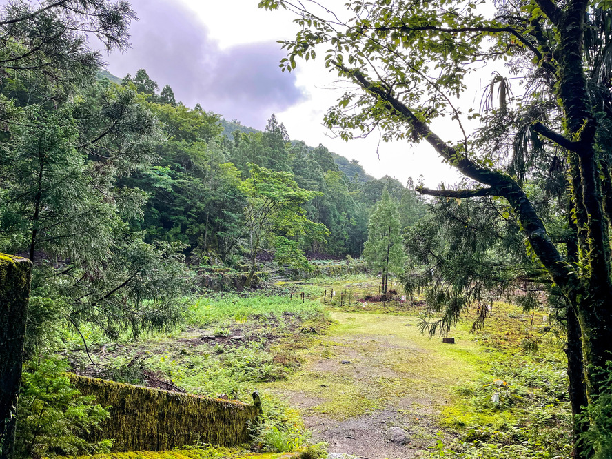 屋久島_縄文杉トレッキング_小杉谷集落跡