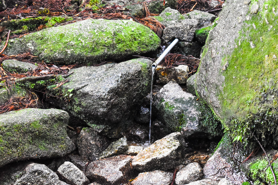 屋久島_縄文杉トレッキング_湧き水_ツアーで行くべきメリットと理由③