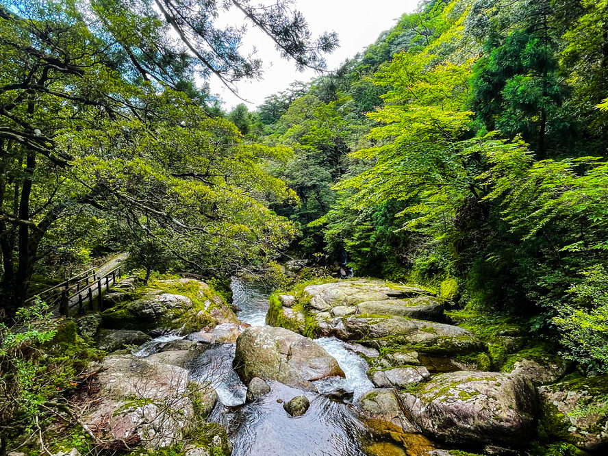 白谷雲水峡_川と青空_屋久島観光のオススメ