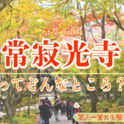 【秋の京都嵐山】紅葉と青もみじの名所！常寂光寺の見どころ・歴史・ライトアップ・拝観料・アクセス｜百人一首の聖地の庭園