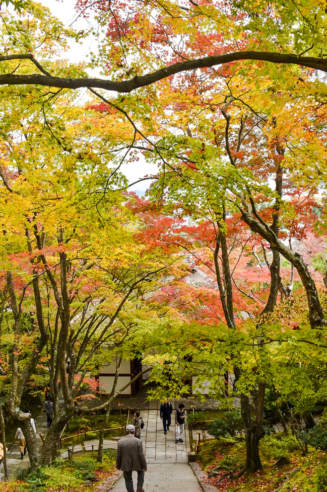 常寂光寺_仁王門と紅葉_秋の京都・嵐山